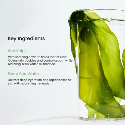 BIODANCE Refreshing Sea kelp Real Deep Mask, Overnight Hydrogel Mask, Calming, Oil & Sebum Control, Blemish Care, Korean Skin Care, Valentines Day Gifts for Her